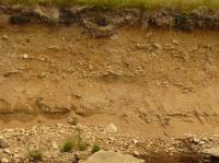 Profil fluvilnmi sedimenty v zezu nivy Jizerky (vka zezu je 3 m)., Tom tor, 2010