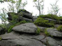 Jelen str tvoen hrub a stedn zrnitm porfyrickm biotitickm granitem., tpnka Mrzov, 2009