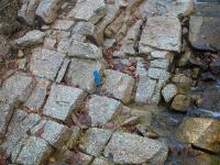 Kvdrovit rozpad biotitickho granitu. Smdavsk hora, tpnka Mrzov, 2010