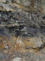 vchozy v zezu Krounky,  kontakt  kdovch uhelnch prachovc a pskovc s paleozoickmi horninami v podlo (rychnbursk droby), Anon, 2013