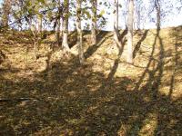 lůmek biodetritických vápenců a pískovců v poli severně od obce Hlína, Anon, 2011