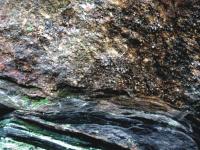 Intruzivn kontakt durbachit plutonu Knecho stolce a retrogrdn metamorfovanch granulit kianovskho masivu definovan orientac sekundrn magmatick foliace. Dlka spodn hrany je 40 cm., Krytof Verner, 2013