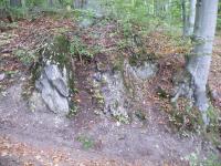 Blok siln zbidlinatlch lavicovitch vavineckch vpenc, kontakt s klastickmi sedimenty devonu, Ji Otava, 2013