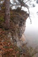 Voky amfibolit v mramorech  ve vrcholovvh partich skalisek na vyhldce nad Dyj., Pavla Grtlerov, 2014