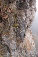 Voky amfibolit v mramorech  ve vrcholovvh partich skalisek na vyhldce nad Dyj., Pavla Grtlerov, 2014