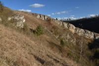 Oprn stratigrafick profily a  vznamn paleontologick lokality., Motykov Kamila - r Ji, 2015