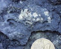 Makroskopicky patrn pyrit v kyzovch bidlicch neoproterozoika pi st Kovho potoka, jv. od loukovic., Tom Vorel, 2007