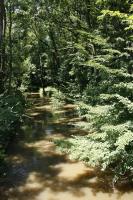 Meandry v rznm stupni aktulnho vvoje uprosted rozshlho komplexu zaplavovanch lunch les., Motykov Kamila - r Ji, 2009