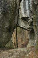 Skaln brna Zkamenl zmek je nejvt skaln brnou na Morav. Dosahuje vky asi 8 m a maximln ky 9 m., Motykov Kamila - r Ji, 2007