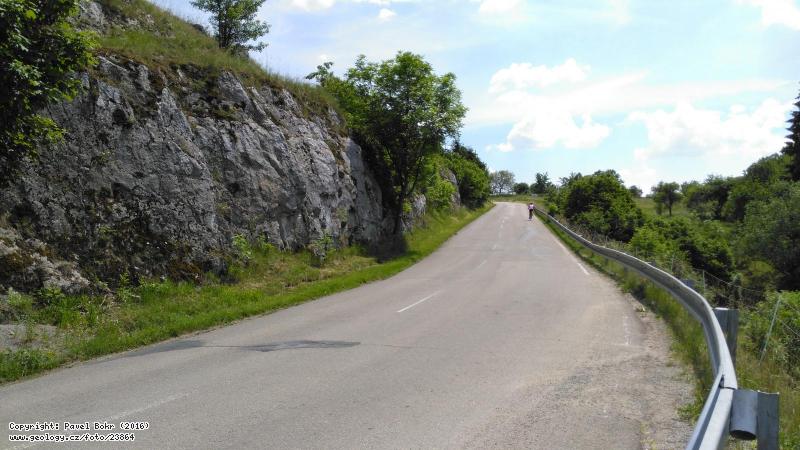 Photo Vilemovice limestone: Type locality of the Frasnian Vilemovice limestone, Zez silnice u Vilmovic