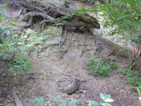 Oputn dobvka zaloen ve zvtralch granodioritech prekambrickho st., Tom Lehotsk, 2009
