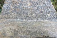 Detail intruzivnho kontaktu amfibol-biotitick pararuly (nahoe) s deformovanm muskovit-biotitickm granitem (dole)., Jaroslava Pertoldov, 2014