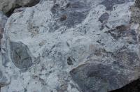 Granitov tavenina (leukosom) vznikajc tavenm pvodnch rulovch hornin., Krytof Verner, 2010