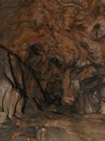 Rozshl jeskynn systm Mladeskch jeskyn v devonskch vpencch (jasensk vpence), vytvoen ponornmi vodami Hradeky a Rachavy ve tech patrech., Motykov Kamila - r Ji, 2007