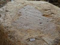 Ledovcov ohlaz a exaran rhy na povrchu balvanu nordickho granitu v odkryvu na Psenku. , Martin Hanek, 2013