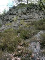Členité skalnaté svahy vltavského údolí tvoří vulkanity jílovského pásma starohorní kralupsko-zbraslavské skupiny., Motyčková Kamila - Šír Jiří, 2005