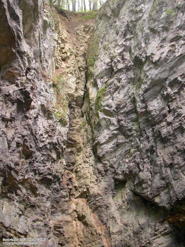Photo Hranice Abyss: Hranice Abyss, norhern wall, Hranick propast