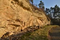 Část lomové stěny původně hlubšího lomu odkrývá nasedání horizontálně zvrstvených svrchněkřídových vápnitých pískovců na vrásněné horniny starohorního kutnohorského krystalinika. , Motyčková Kamila - Šír Jiří, 2015