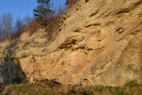 Část lomové stěny původně hlubšího lomu odkrývá nasedání horizontálně zvrstvených svrchněkřídových vápnitých pískovců na vrásněné horniny starohorního kutnohorského krystalinika. , Motyčková Kamila - Šír Jiří, 2015