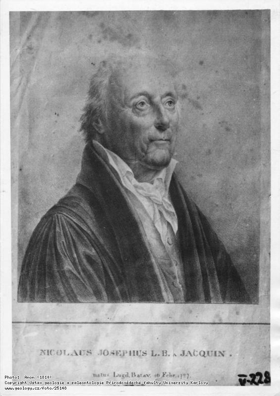 Fotografie Jacquin, Nikolaus (1727-1817): Jacquin, Nikolaus Joseph von (1727-1817), 