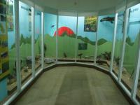 Naučná stezka, geopark, muzeum s expozicí Příroda Chebska a Příroda Soosu a Dějiny Země u NPR SOOS., Markéta Vajskebrová, 2017
