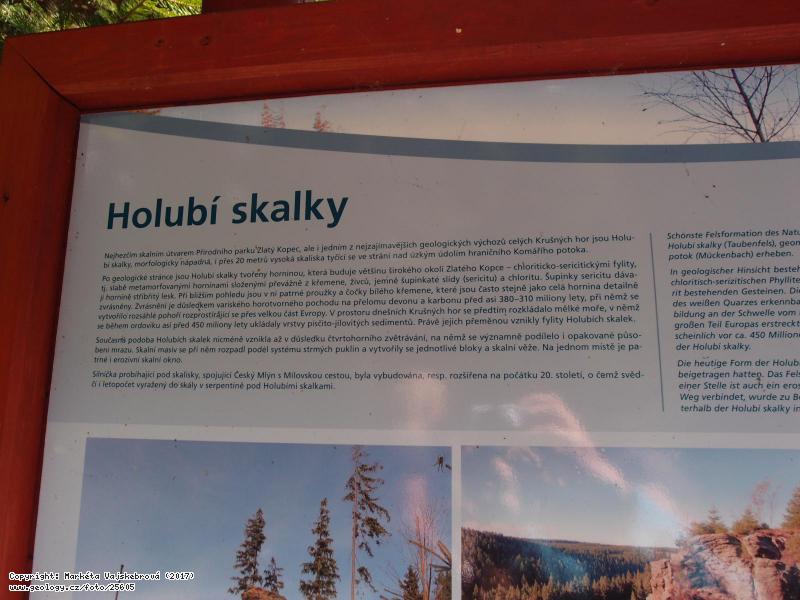 Photo : , Holub skly