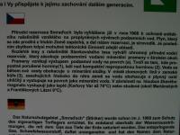 Raelinit s vvry CO2 a sirovodku. Informan tabule., Motykov Kamila - r Ji, 2006