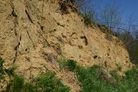 Ve stěně pískové jámy je odkryt relikt náporové čelní morény, dokládající kontinentální zalednění v oblasti., Motyčková Kamila - Šír Jiří, 2013