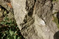 Typick luick granodiorit v oputnm lmku u silnice ve Vilmov. , Pavla Grtlerov, 2017
