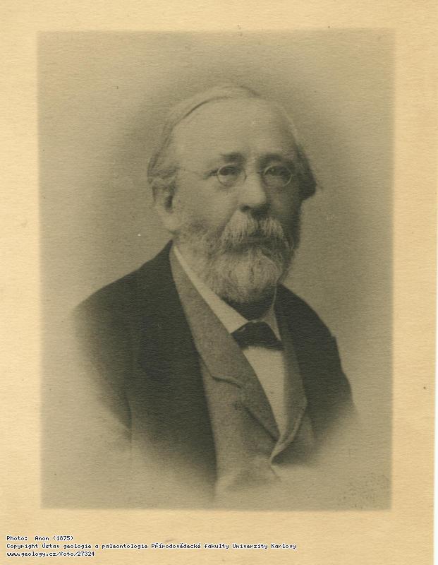 Fotografie tr, Dionz (1827-1893): tr, Dionz (1827-1893), 