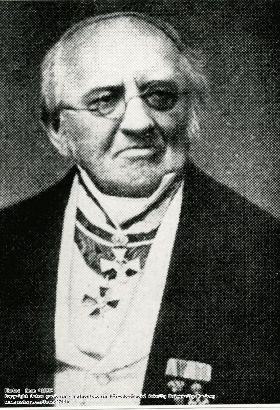 Fotografie Gpprt, Heinrich (1800-1884): Gpprt, Heinrich Robert (1800-1884), 