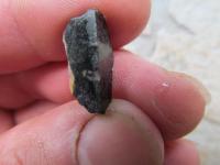 Nlezy zkamenlin (krinoid)v hrub krystalickch ernch vpencch (