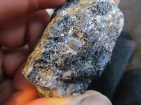 Nlezy zkamenlin (brachiopod) v hrub krystalickch ernch vpencch (