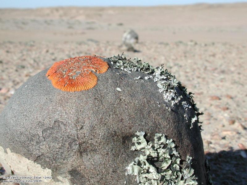 Fotografie Pou Namib: Pou Namib v okol Svakopmundu v Nambii, 