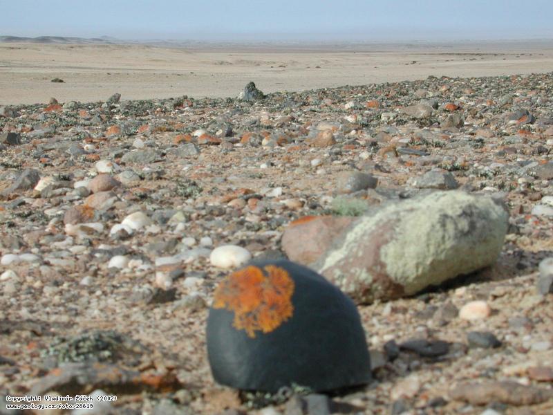 Fotografie Pou Namib: Pou Namib v okol Svakopmundu v Nambii, 