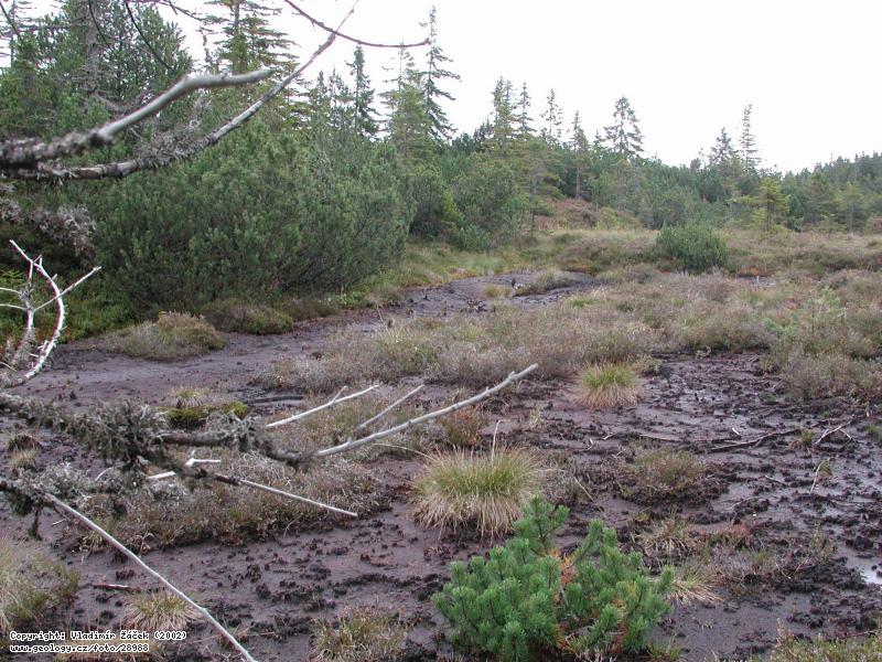 Photo Mal Polec: Mal Polec peat bog at Churov in umava Mts., 