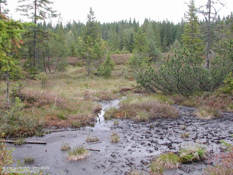 Photo Mal Polec: Mal Polec peat bog at Churov in umava Mts., 