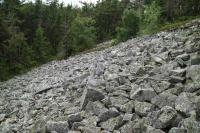 Svahov kamenitoblokov a blokovokamenit sedimenty na jinm pat vrchu Praha (k. 862 m)., Tom Radomsk, 2017