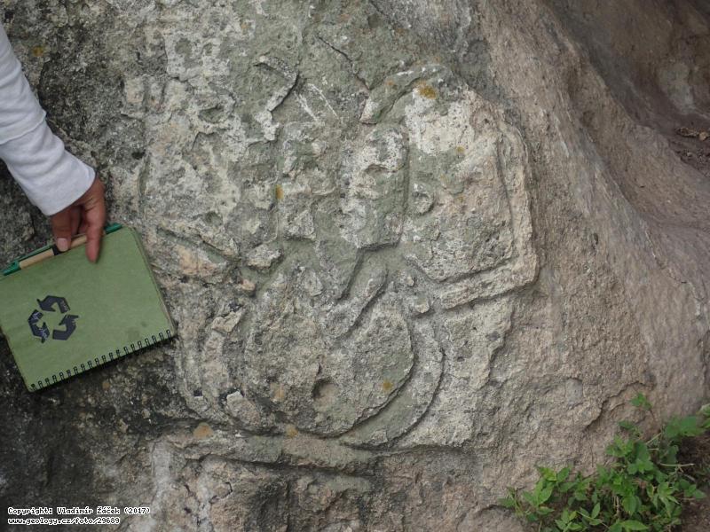 Fotografie Petroglyfy, Aguas Calientes, Nikaragua: Petroglyfy na lokalit Aguas Calientes geoparku Ro Coco, Nikaragua, 
