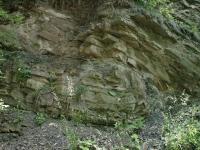 Pskovce a slepence tzv. oslavsk facie, sedimenty padochovskho souvrstv., Motykov Kamila - r Ji, 2006