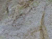 Granit uzavrajc ostrohrann xenolity okolnch granulitovch rul kianovskho masivu (rozmr spodn hrany fotografie 50 cm). , Krytof Verner, 2013