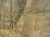 Kompozin pskovn v granulitovch rulch zpadn sti masivu Blanskho lesa (rozmr spodn hrany fotografie 50 cm)., Eva Krytofov, 2013