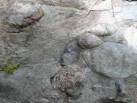 Detail skalky-Valouny amfibolickch kemennch diorit, metaandezit (porfyrit) a leukokratnch granitoid v drobov matrix slepenc., Vclav Kachlk, 2017