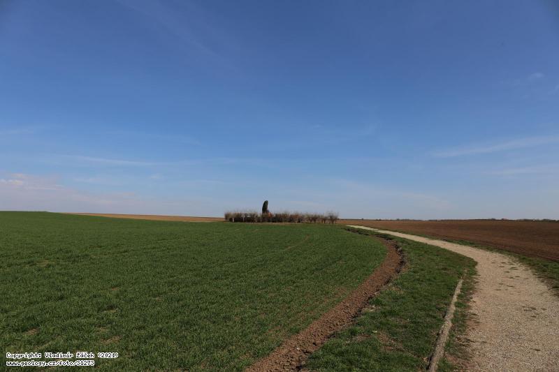 Fotografie Menhir Zkamenl past: Menhir Zkamenl past u Klobuk v okrese Kladno., 