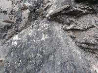 Odkryv serpentinizovanho spinelovho peridotitu svatokskho masvu v Mladoticch., Veronika tdr, 2020