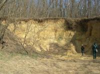 Deltov sedimenty ottnangu, Pavla Tomanov Petrov, 2022