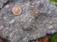 Vzorek drobn porfyrickho eisgarnskho granitu na Kateinsk pasece. Velikost vzorku cca 15  15 cm, d. b. ND173, Jan Novotn, 2021