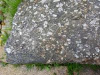 Detail weinsberskho granitu s patrnmi porfyrickmi vyrostlicemi draselnho ivce., Jan Novotn, 2021