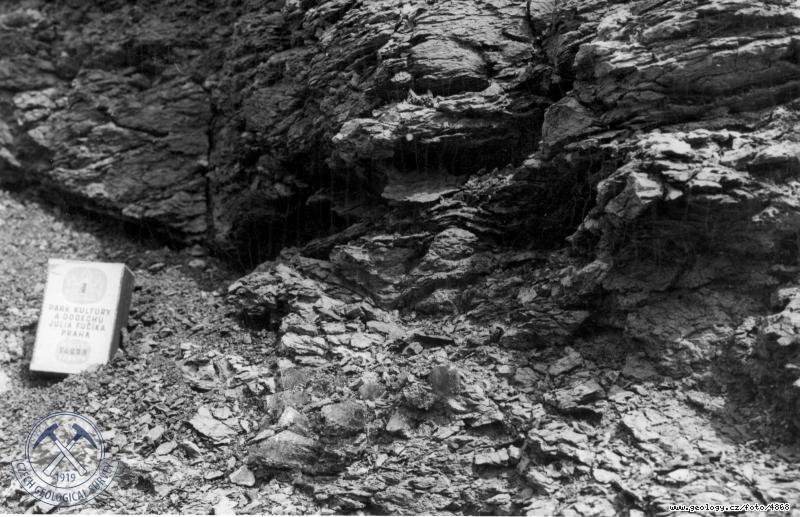 Fotografie : Detail vchozu uheln sloje vchodn od Liboue. Dole uprosted nkolikacentimetrov krystaly sdrovce., Libou