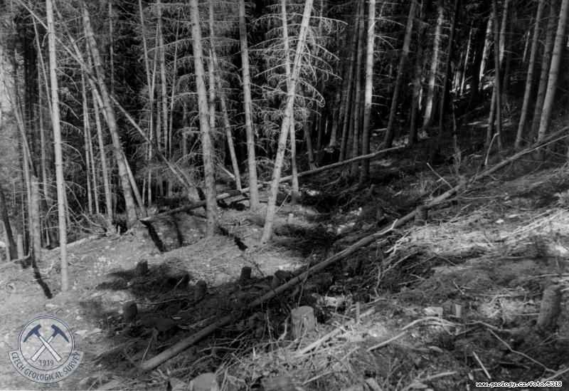 Fotografie : Stupovit propadlina vznikl sesuvem svahov hlny nad vlomem pro prav pil hrze zashla a do lesa v povodn partii., Kimov